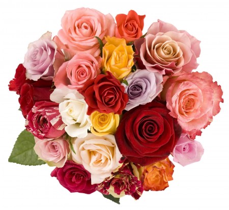 top-ten-valentines-day-romance-flowers