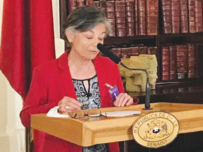 Piga Fernández speaking at podium