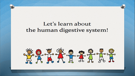 Let's Learn About the Human Digestive System Book Cover