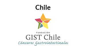 GIST Chile Logo