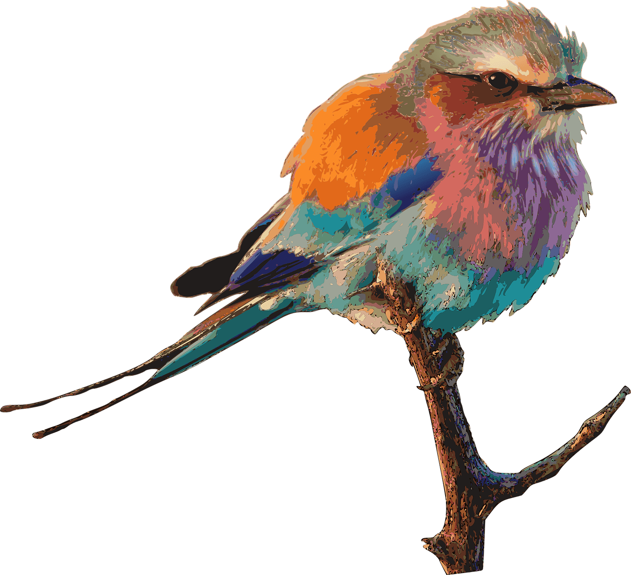 Image of a bird