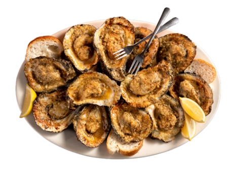 Oysters by Acme - Life Fest 2022 Recommendations